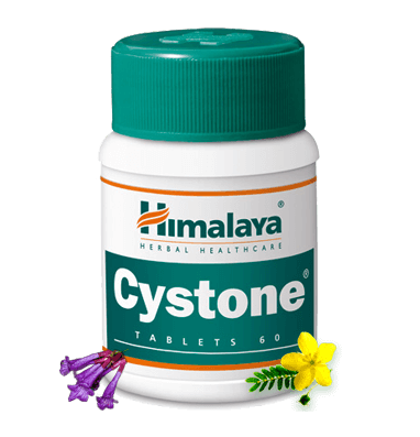 HIMALAYA CAPSULES ( CYSTONE ) 60 TABS X 12 BTL